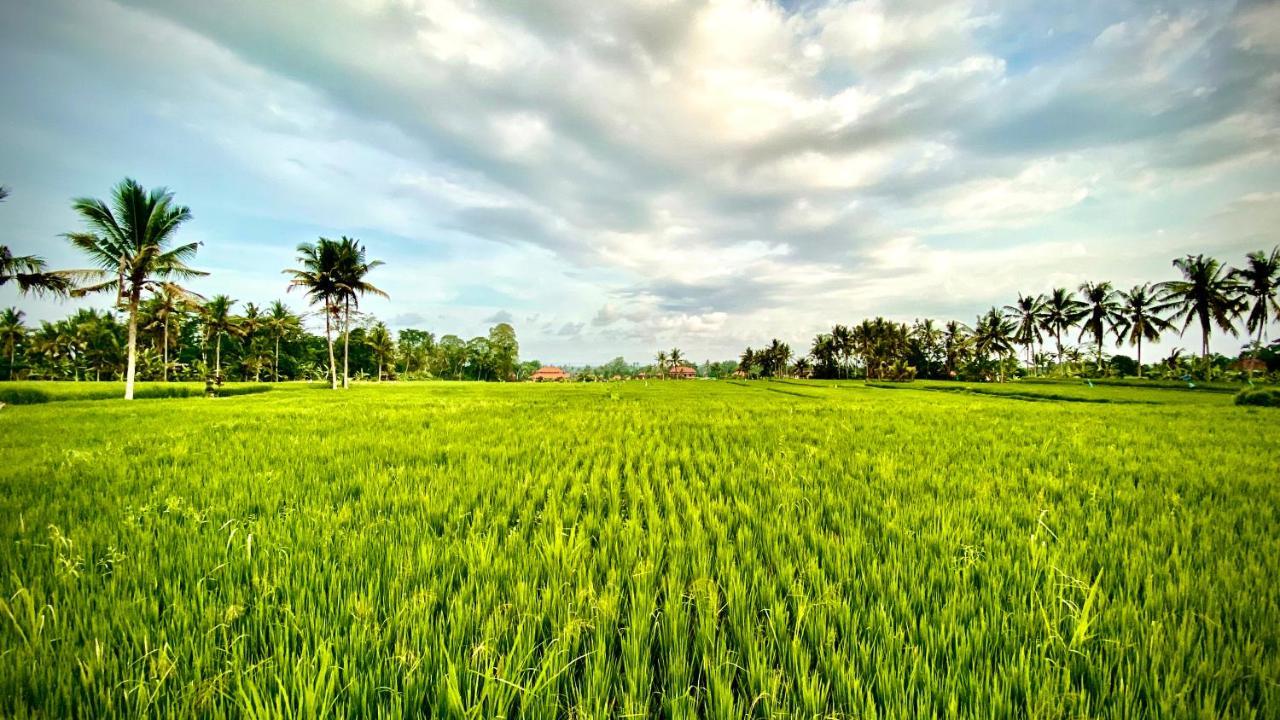 Villa Sawah Ramah Ubud  Exterior photo